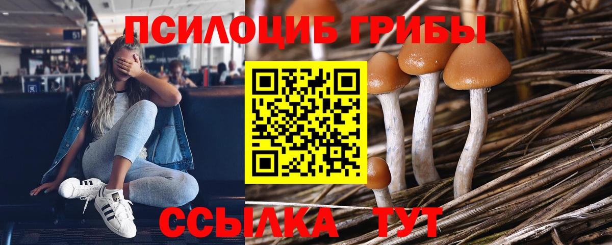 Галлюциногенные грибы Psilocybine cubensis  Вход с VPN  Костомукша 